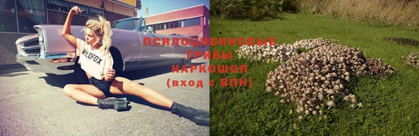прущий лед Аркадак